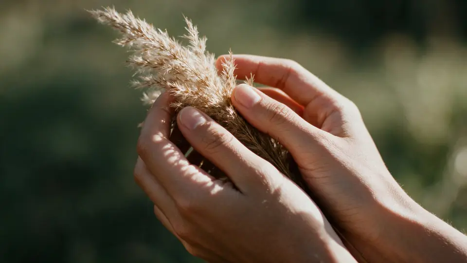 Hands gently holding soft dried grasses in sunlight